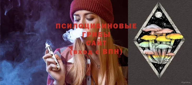 Псилоцибиновые грибы Cubensis  сколько стоит  Шадринск 